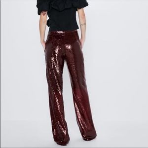 Zara sequin pants.